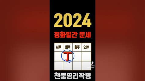 丁火2024